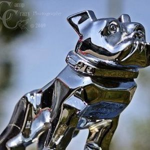 Meet your Posher, Mike